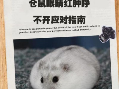 仓鼠脚肿的治疗方法（五个小步骤教你治好仓鼠脚肿）