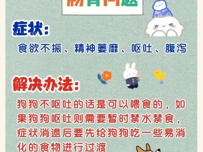 培养狗狗的排便习惯（帮助新手促进狗狗排便，使其保持良好的卫生习惯）