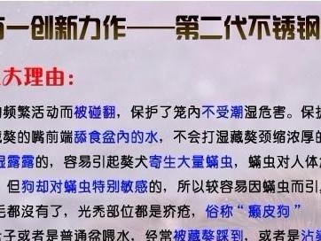 如何以藏獒防治螨虫？（以宠物为主的螨虫治疗策略）