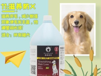 以萨摩耶犬护理常用器具（宠物美容不可少的工具）