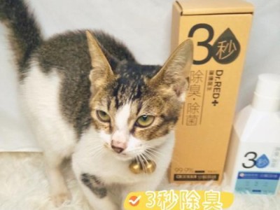 如何预防猫咪的耳螨？（新手铲屎官的应对策略与方法）