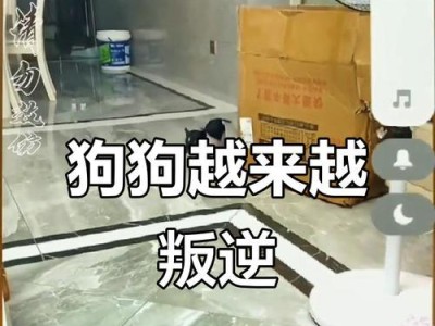 狗的叛逆期究竟有多长时间？（探讨狗在成长过程中的叛逆期长度及影响）
