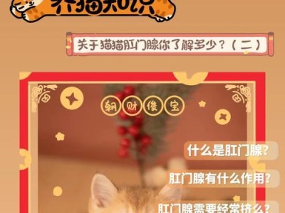 猫肛门腺的清理频率——你需要了解的关键信息（猫肛门腺挤压时间间隔和注意事项）