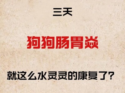 狗狗肠胃疾病（探索宠物狗常见肠胃问题及其解决方案）