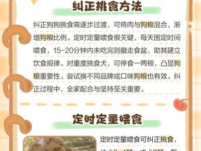 小哈士奇的饮食习惯及合理喂养间隔（合理喂养的关键是掌握喂养间隔）