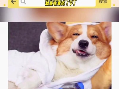 “小心！这6种水果对狗狗可致命”（警惕！喂食这些水果给狗狗可能危及生命）