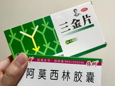 猫咪拉稀该吃什么药？（选择正确药物有助于缓解猫咪拉稀问题）