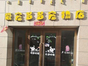 探寻成都的宠物天堂——宠物店合集（发现成都的宠物店瑰宝，体验宠物世界的无尽魅力）