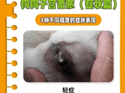 狗生一崽不正常的辟谣与狗崽及母犬的照顾指南（揭开狗生一崽不正常的谣言，了解正确的照顾方法）