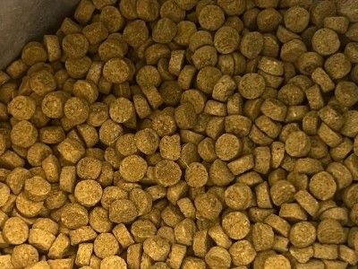 猫咪湿粮推荐及其与干粮的区别（了解湿粮的优势和干粮的特点，为猫咪提供更健康的饮食）