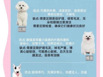 泰迪骨折后适宜洗澡的时间及注意事项（泰迪骨折恢复的关键是合理的洗澡时间与方法）