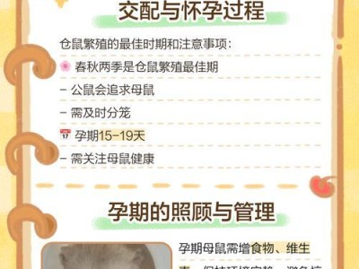 仓鼠交配周期与繁殖时间（揭秘仓鼠繁殖周期及交配时间）