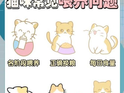 猫咪饮食指南（了解猫咪的饮食需求以及正确喂养猫粮的关键点）