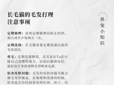 如何科学地梳理长毛猫的毛发（长毛猫的梳理频率与方法）