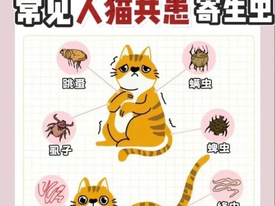 如何有效预防狗狗感染寄生虫？（揭秘贵的驱虫药的真相，为你的狗狗提供全方位防护）
