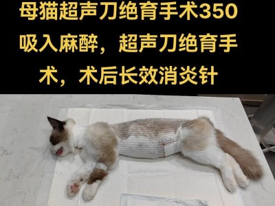 母猫绝育后的疼痛期持续时间与护理方法（了解母猫绝育后的疼痛周期，帮助宠物更好地康复）