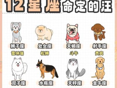 国内七大最好养的狗狗（发现你最适合的狗狗伴侣）