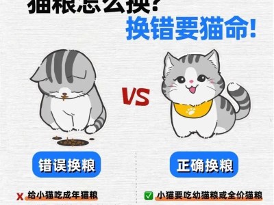 科学喂养猫咪，合理控制每日猫粮摄入量（养猫的关键）