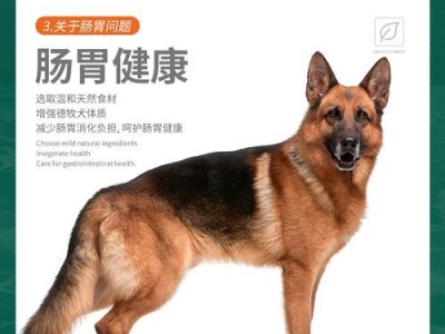 如何补钙给德国牧羊犬？（为你的宠物提供足够的钙质）