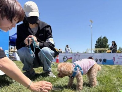 以犬赛（多样化的犬类比赛项目与经典赛事的魅力）