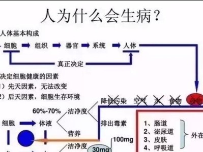 洛帕蒂折背陆龟的科学饲养方法（关注宠物乌龟健康，从正确饲养开始）