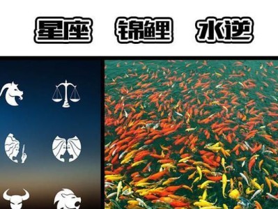 揭秘锦鲤寿命长达70年的真相！（探秘锦鲤生命的奥秘，解读长寿的关键）
