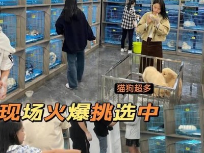 嘉兴宠物狗适合养哪些品种（探索嘉兴适宜宠养的狗狗品种及特点）