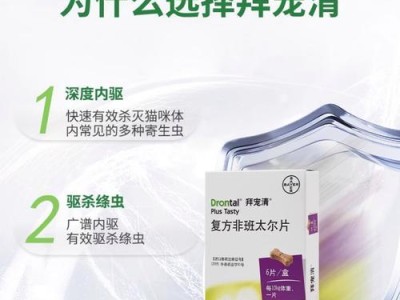 宠物狗泰迪的体内驱虫时间间隔及注意事项（泰迪3岁需要多久进行一次体内驱虫？相关知识与建议解读）