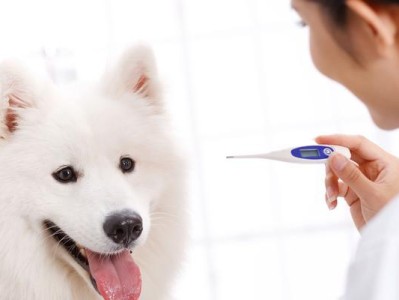 以狗温度测多久能判断是否发烧？（通过狗的体温来了解它的身体状况）