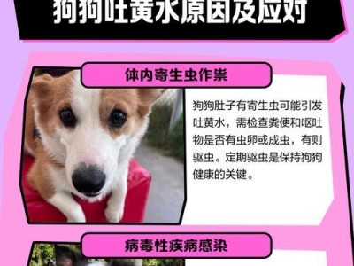 解析狗狗尿黄的原因及其相关问题（了解狗狗尿黄的成因和处理方法，让你的爱宠更健康）