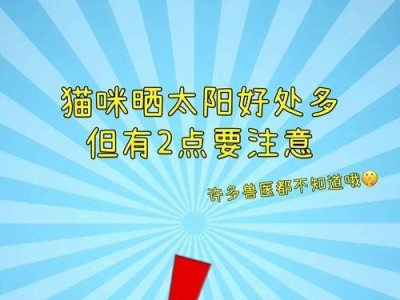 猫咪晒太阳的重要性及时间控制（探索猫咪日晒时间的适宜范围）