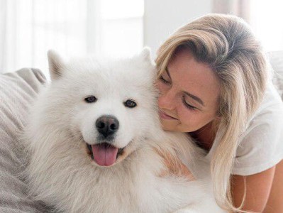 萨摩耶幼犬饮食喂养指南（新手养萨摩耶宝宝的注意事项）