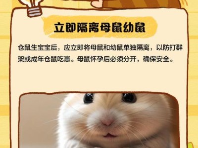 仓鼠宝宝分笼的时间和注意事项（科学分笼）