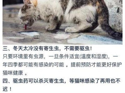 猫咪驱虫费用及时间一次需要多久？（了解猫咪驱虫的费用和时间安排）