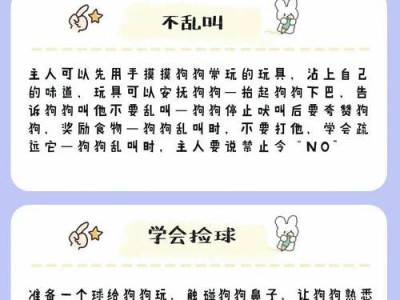 如何训练泰迪握手？（掌握泰迪握手训练的技巧和时间要求）