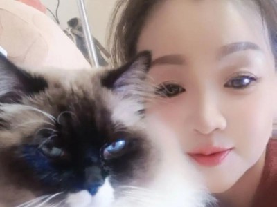 养什么猫好玩？（探索适合家庭的有趣猫咪品种）