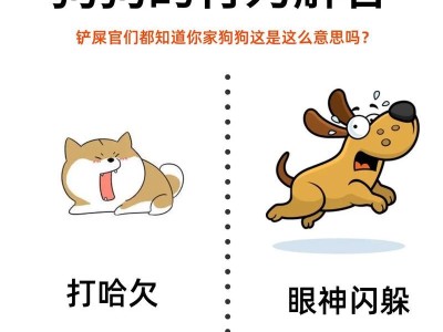 狗狗发烧的特征及重要性（了解狗狗发烧的迹象，维护身体健康）
