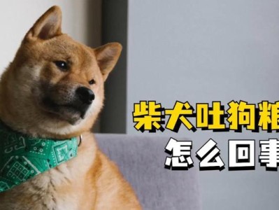 狗狗为什么吃完狗粮不久就呕吐？（探究狗狗吃完狗粮后呕吐的原因和解决方法）