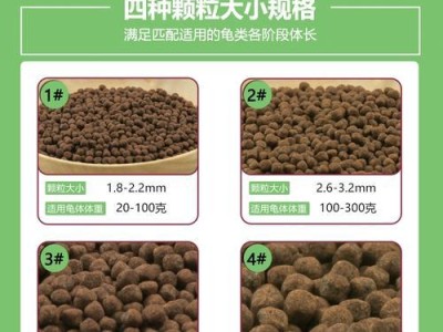 黑颈乌龟的饲养方法（以宠物为主，让你的黑颈乌龟健康成长）