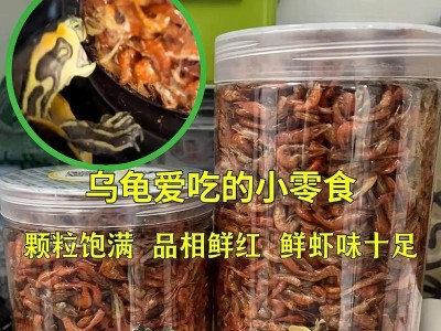 龟的饲养之道（以何种食物为龟提供最佳营养？）