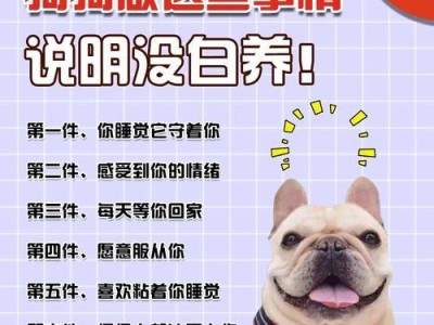 新买回来的狗狗需要做哪些事情？（关爱新宠物，让它快乐成长）