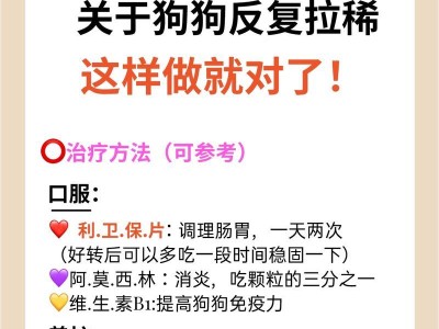 狗拉肚子，合适的食物有哪些？（为你的狗狗选择正确的饮食，让它快速康复）