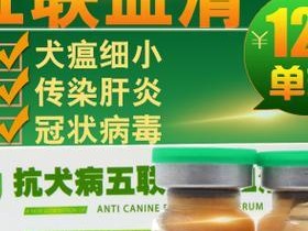 如何有效治疗和预防金毛犬冠状病毒（宠物主人必知的金毛犬冠状病毒防治方法）