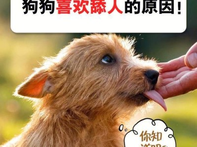 狗狗突然攻击人的情况及原因（了解这些情况，预防狗狗攻击事件）
