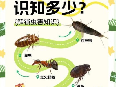 老鼠灭绝的影响及其生态意义（探讨老鼠灭绝对生态系统和人类社会的影响）