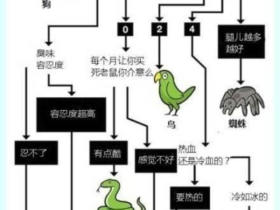 宝莲灯鱼的饲养方法（掌握饲养技巧，让宝莲灯鱼健康成长）