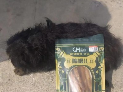 狗狗磨牙棒的使用频率与注意事项（每隔多久狗狗应该吃一个磨牙棒？如何正确使用磨牙棒？）