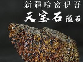 黄高头的饲养方法（从初学者到养殖达人，让你轻松掌握黄高头养殖技巧）