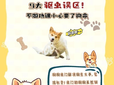 狗狗寄生虫预防之道（定期驱虫，让狗狗远离寄生虫的困扰）