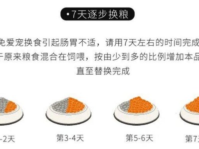 黄腹滑龟的饲养方法（从营养、环境到健康，打造健康黄腹滑龟）